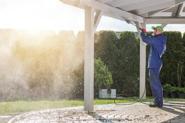 Best Fence Cleaning and Maintenance in Stanley, WI