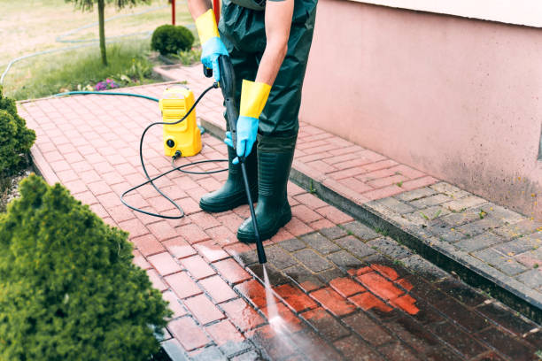 Best Driveway Cleaning and Restoration in Stanley, WI